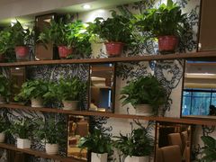 大堂-大鸭梨(天通西苑店)