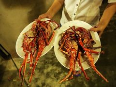 清蒸龙虾-幸福姐海鲜大排档