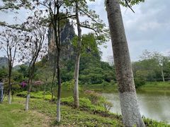 -南宁花花大世界景区