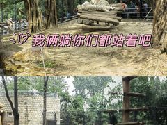 -北京野生动物园