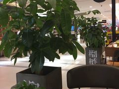 -乐凯撒披萨(正佳广场店)