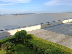 -大湾区中央湿地公园