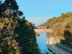 -广州市帽峰山景区