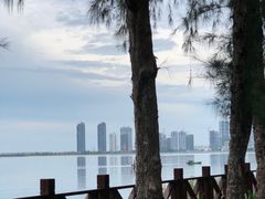 -万绿园