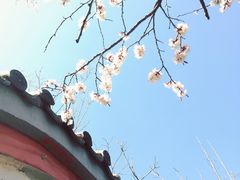 -龙门崮风景区