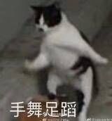 -门框胡同百年卤煮(前门煤市街店)