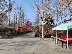 -南宫五洲植物乐园