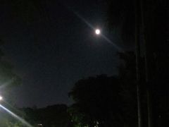 -金砂公园