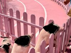 -渔岛海洋度假区