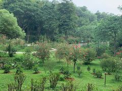 -云溪植物园