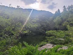 -国家植物园南园