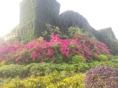 -府河摄影公园