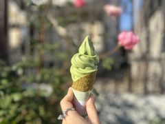 -丝绸小镇荻港古村