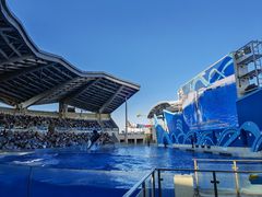 -上海海昌海洋公园