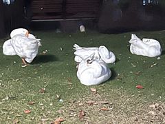 -中国计量大学(西校区)
