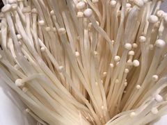 -味之绝热血美蛙鱼火锅(九眼桥店)