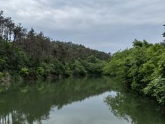 -青龙山国家森林公园