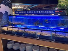 -海吃海喝海鲜烤肉炭火主题自助餐(朝阳店)