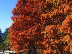 -白塘生态植物园