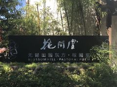-田园东方蜜桃村的田野营地