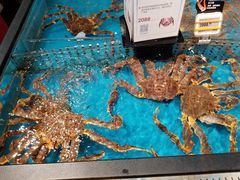 -盒马鲜生(皇庭广场店)