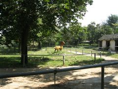 android_upload_pic-西安秦岭野生动物园