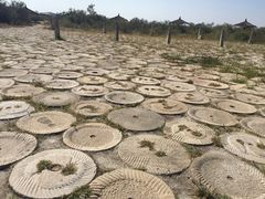 -黄沙古渡原生态旅游区