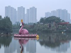 -青枫公园