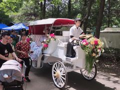 -宝岩生态观光园