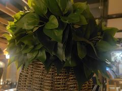 -青水瓦台汤泉(新华店)