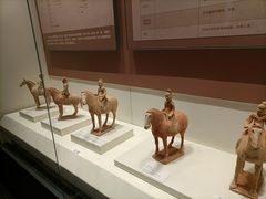-隋唐大运河文化博物馆