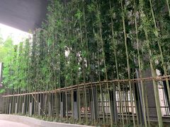 -上海璞麗酒店