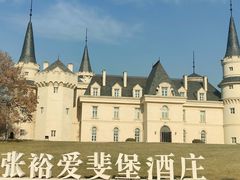 -北京张裕爱斐堡酒庄