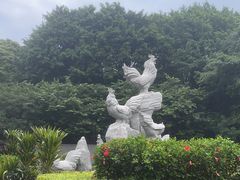 -金鸡山公园