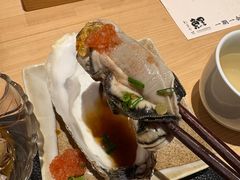 -鲤·鮨KOISUSHI