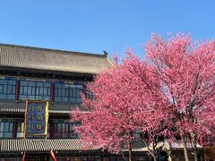 -大召寺明清一条街