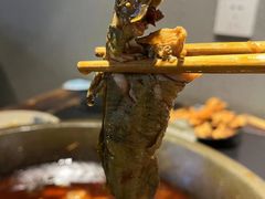 -石锅苗苗鱼(武汉首店)