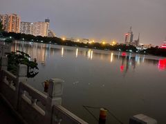-莲花池公园