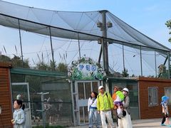 -西霞口神雕山野生动物世界