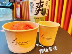 -LUNEURS月乐诗·法式冰淇淋(北外滩来福士广场店)