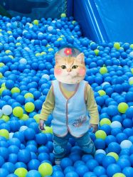 -莫莉幻想儿童乐园(北京昌发展万科店)