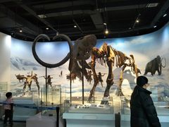 -辽宁古生物博物馆