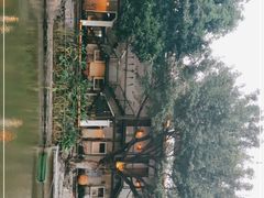 -喜洲吧·江畔老船厂·庭院餐厅(喜临院店)