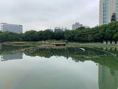 -南宁南湖公园