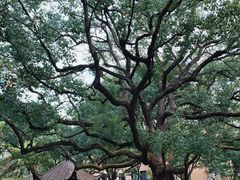 -上海兴国宾馆香樟园西餐厅