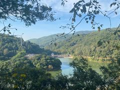 -东莞市大岭山森林公园