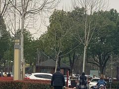 -合肥滨湖国家森林公园