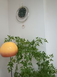 -变美丽半永久定妆连锁·纹眉·机器野生眉