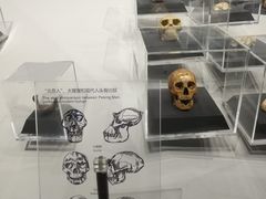 -北京周口店北京人遗址博物馆