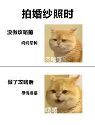 -桔子摄影